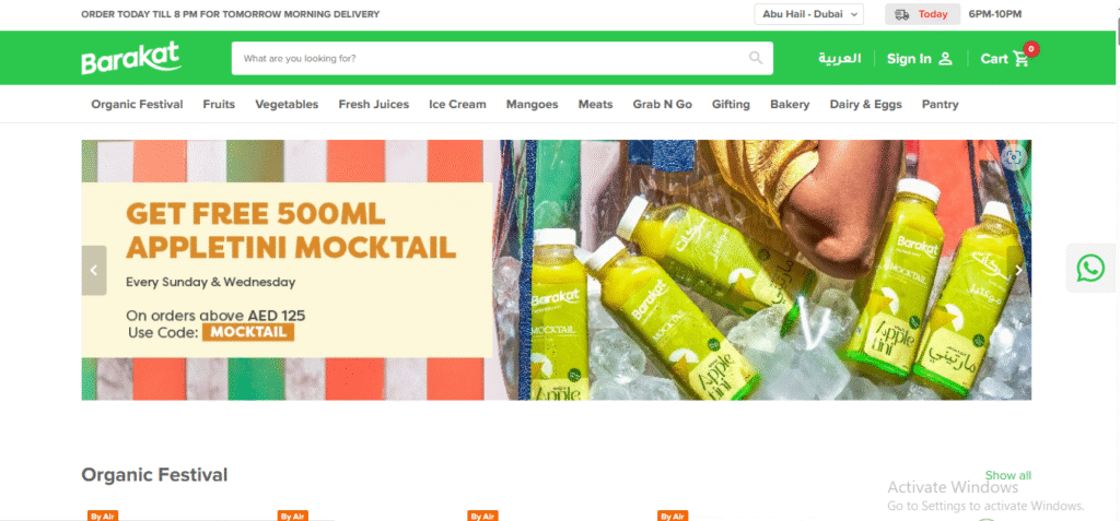 shopify site design